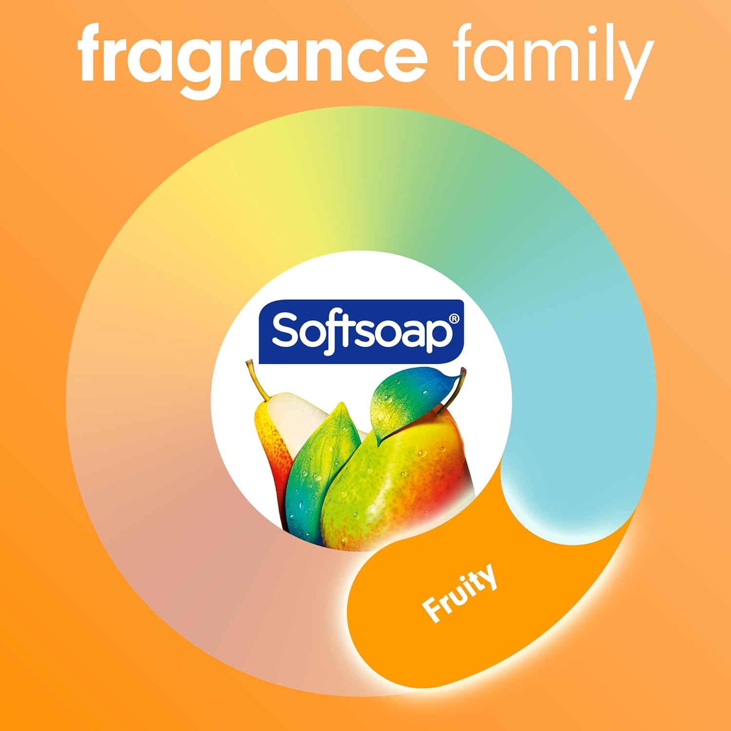 Softsoap Antibacterial Liquid Hand Soap, Fresh Citrus Scent Hand Soap, 11.25 Ounce, 6 Pack