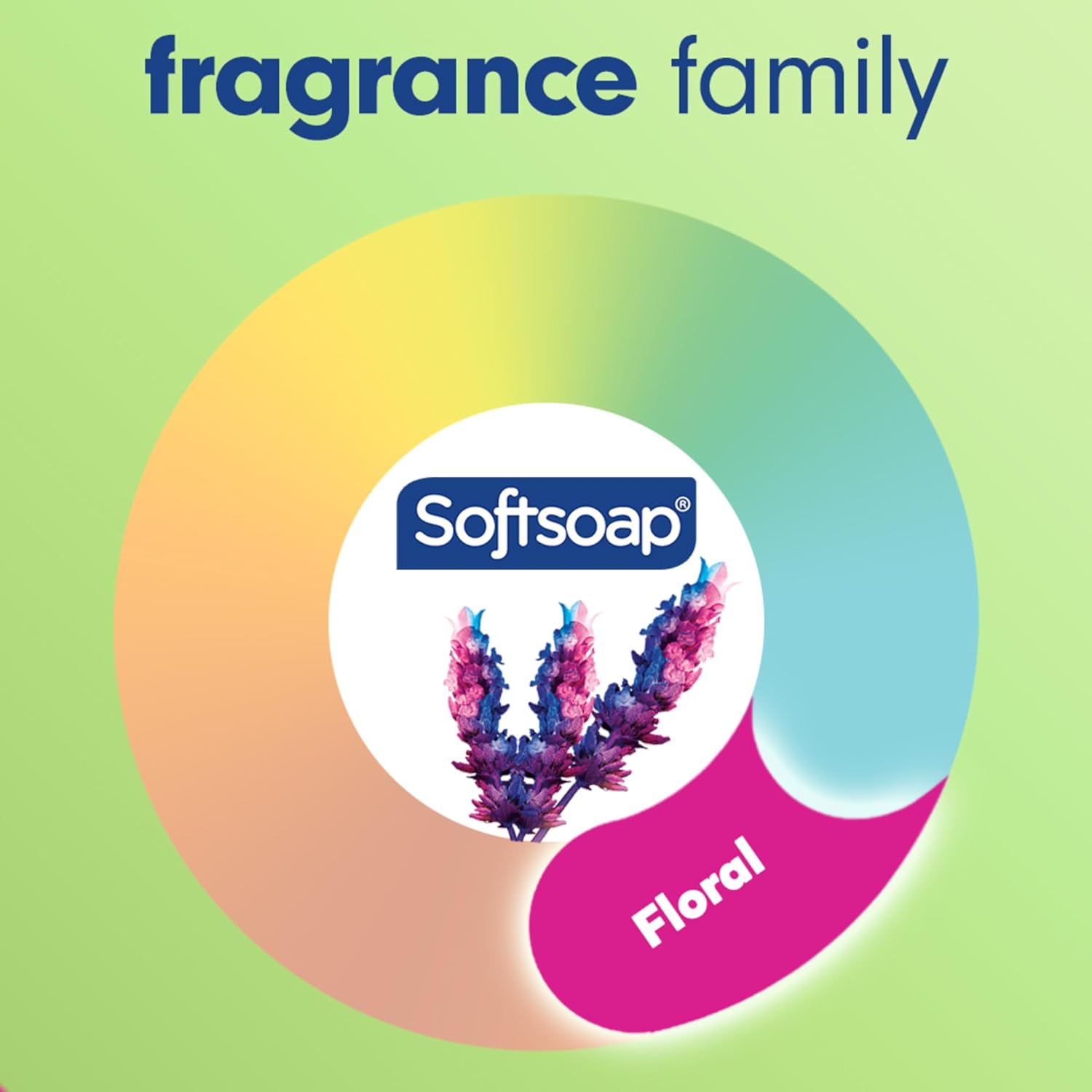 Softsoap Antibacterial Liquid Hand Soap, Fresh Citrus Scent Hand Soap, 11.25 Ounce, 6 Pack