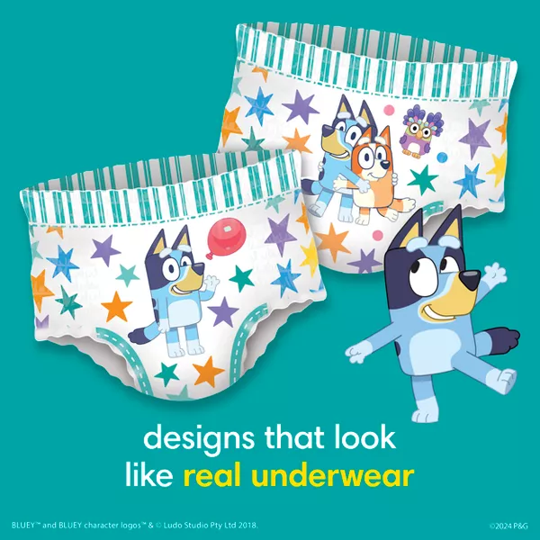 Pampers Easy Ups Training Underwear Boys Size 4 2T-3T 74 Count