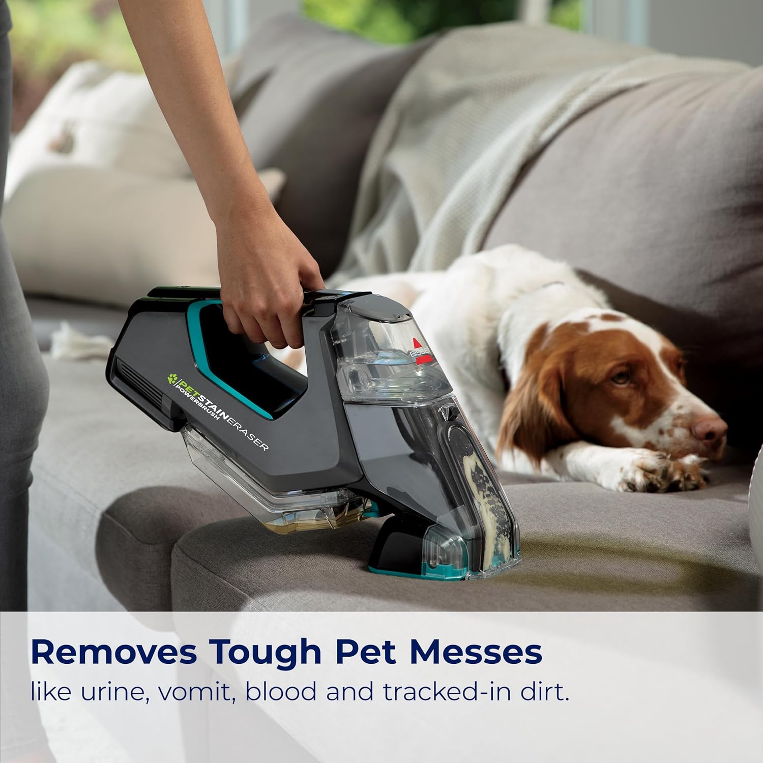 Bissell Professional Spot and Stain + Oxy Portable Machine Formula, 32 Fl Oz (Pack of 1)