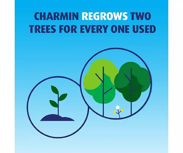 Charmin Ultra Soft Toilet Paper 12 Mega Rolls, 244 Sheets Per Roll