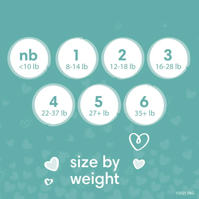 Pampers Baby Dry Diapers Size 5 24 Count