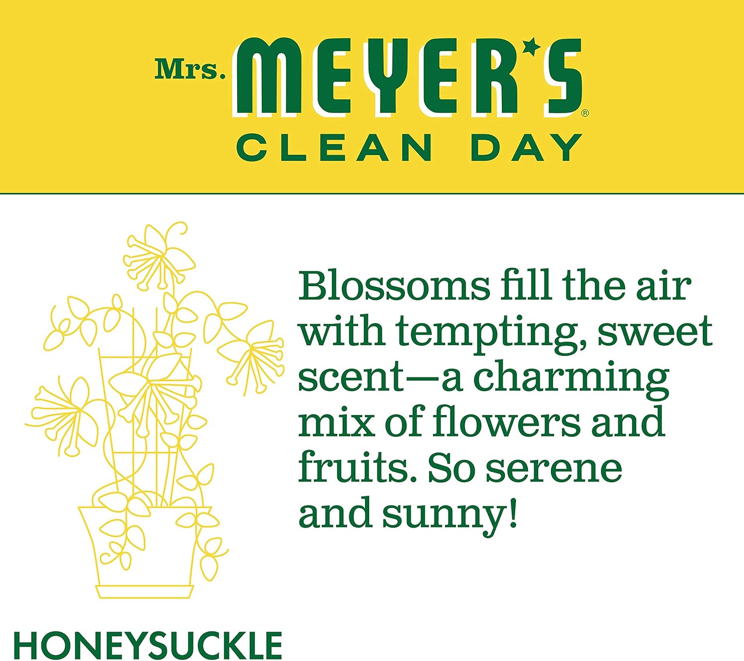 MRS. MEYER'S CLEAN DAY Liquid Dish Soap, Biodegradable Formula, Basil, 16 fl. oz - Pack of 3