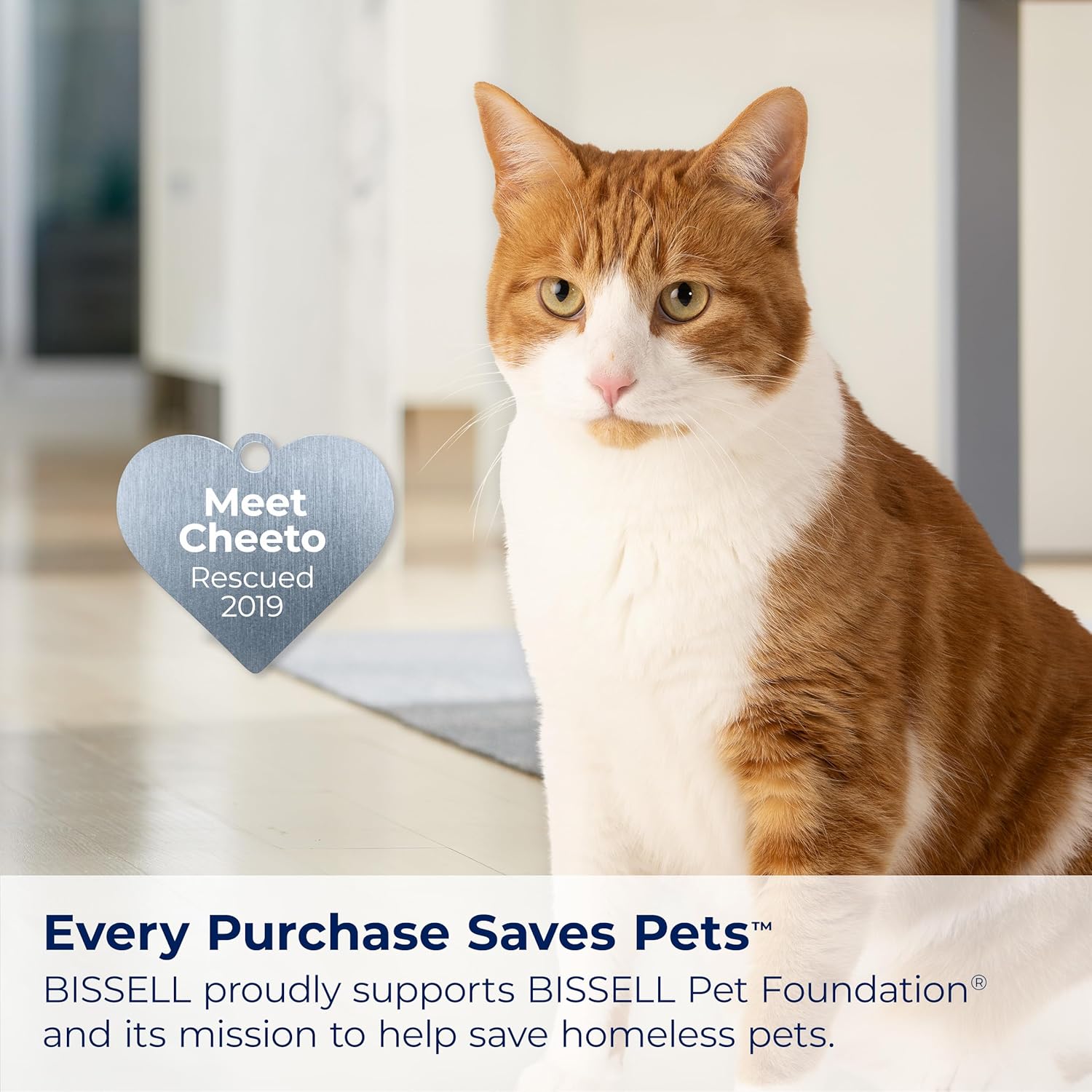 Bissell Professional Spot and Stain + Oxy Portable Machine Formula, 32 Fl Oz (Pack of 1)