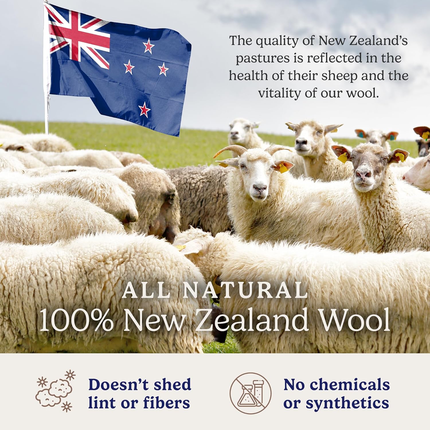 Wool Dryer Balls - Natural Fabric Softener, Reusable, Reduces Clothing Wrinkles and Saves Drying Time. The Large Dryer Ball is a Better Alternative to Plastic Balls and Liquid Softener. (Pack of 6)