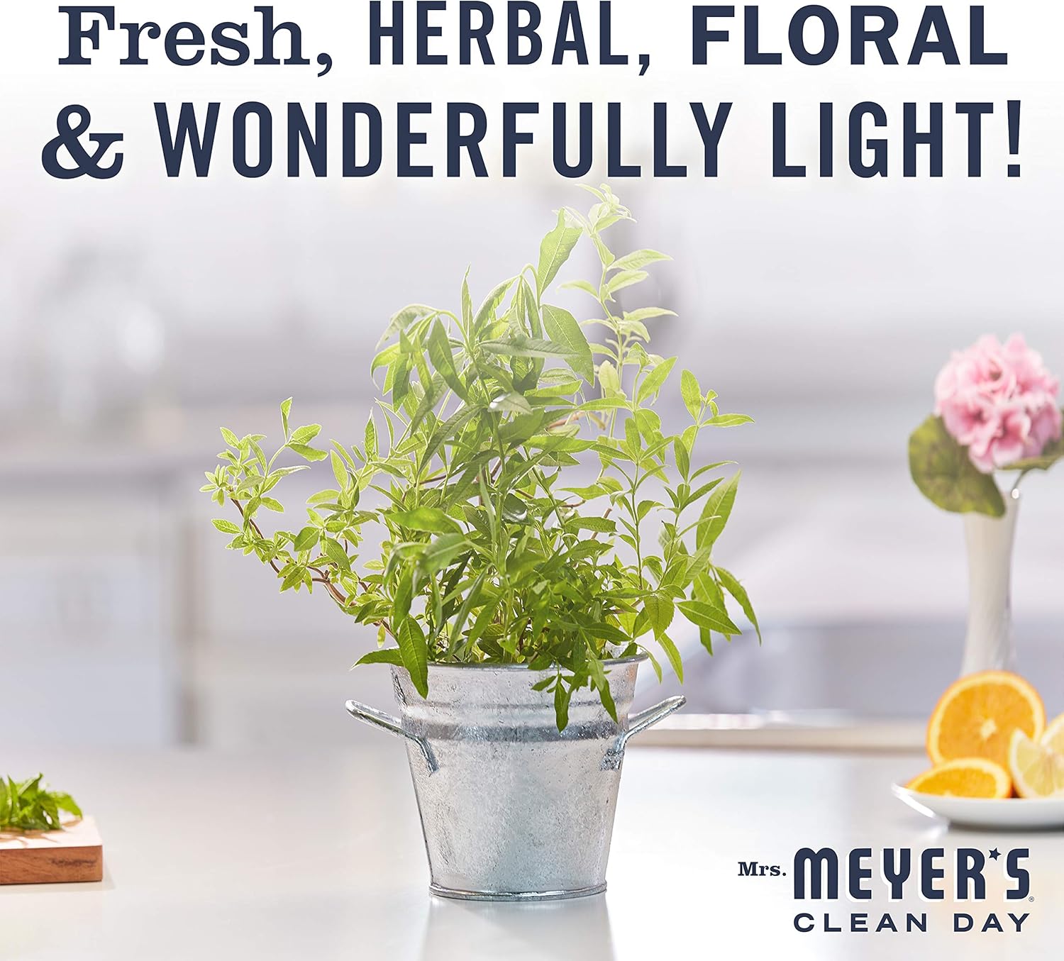 MRS. MEYER'S CLEAN DAY Liquid Dish Soap, Biodegradable Formula, Basil, 16 fl. oz - Pack of 3