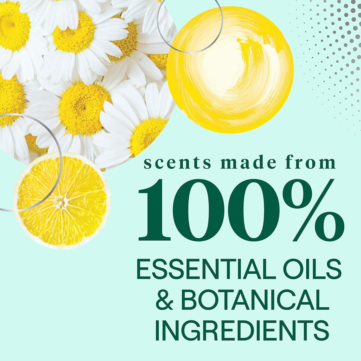 Seventh Generation Dish Soap Liquid, Fragrance Free, 19 oz, Pack of 6