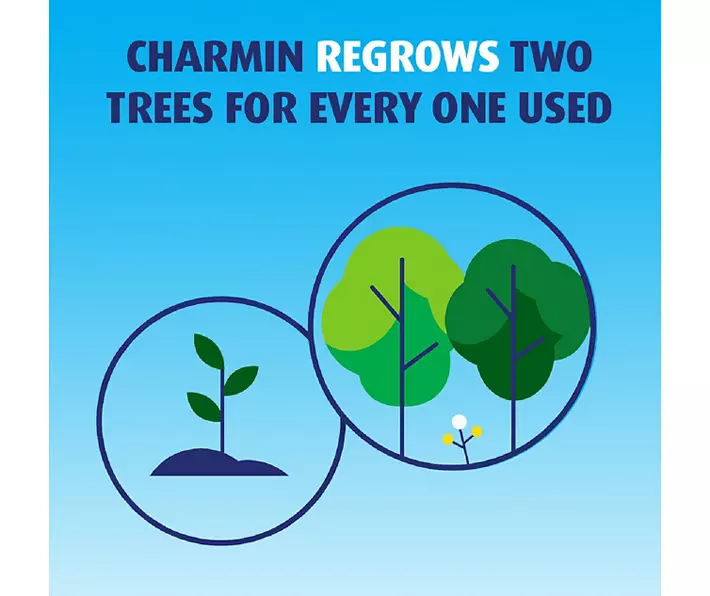 Ultra Strong Toilet Paper 12 Mega Rolls, 242 Sheets Per Roll