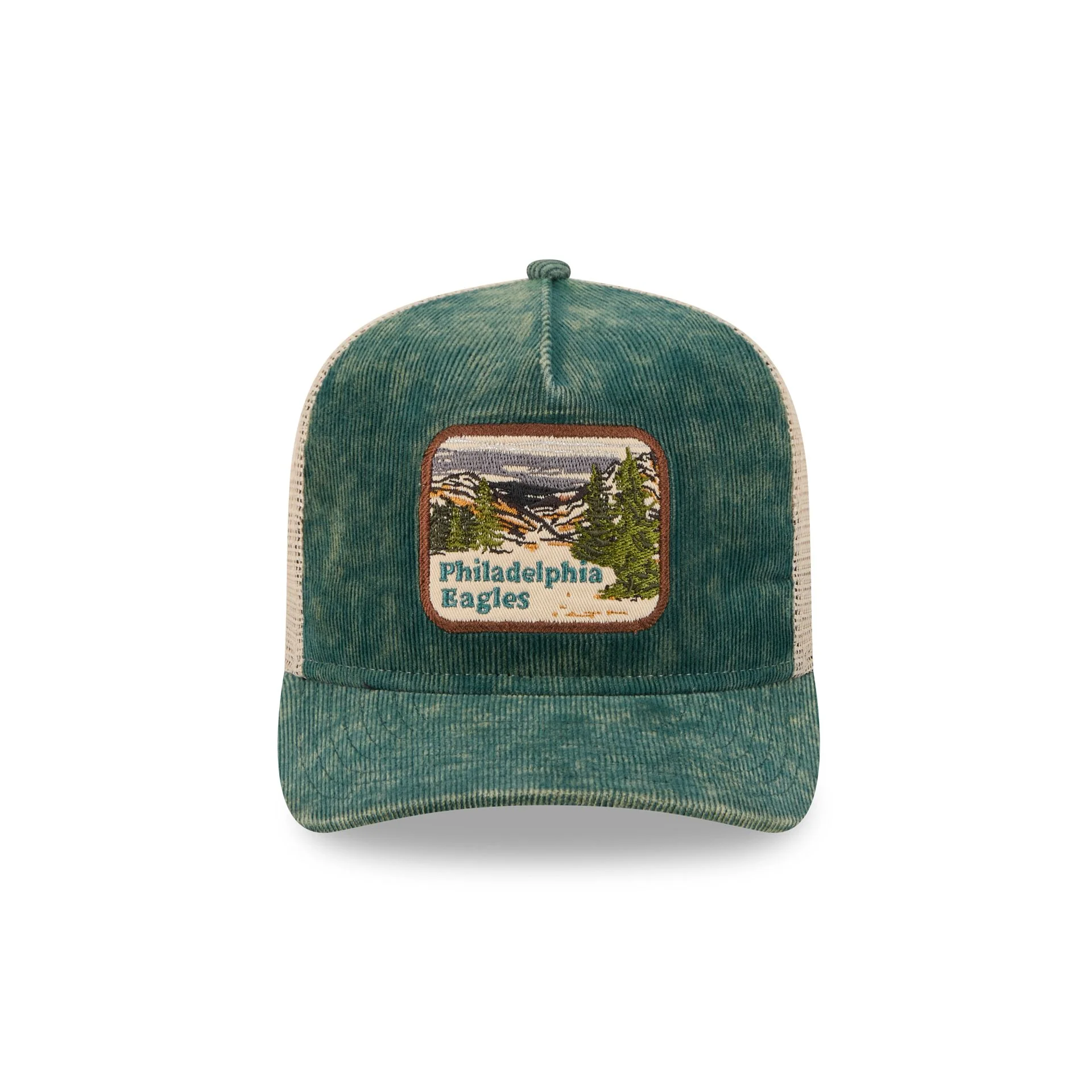 Philadelphia Eagles Vintage Landscape 9FIFTY A-Frame Trucker Hat