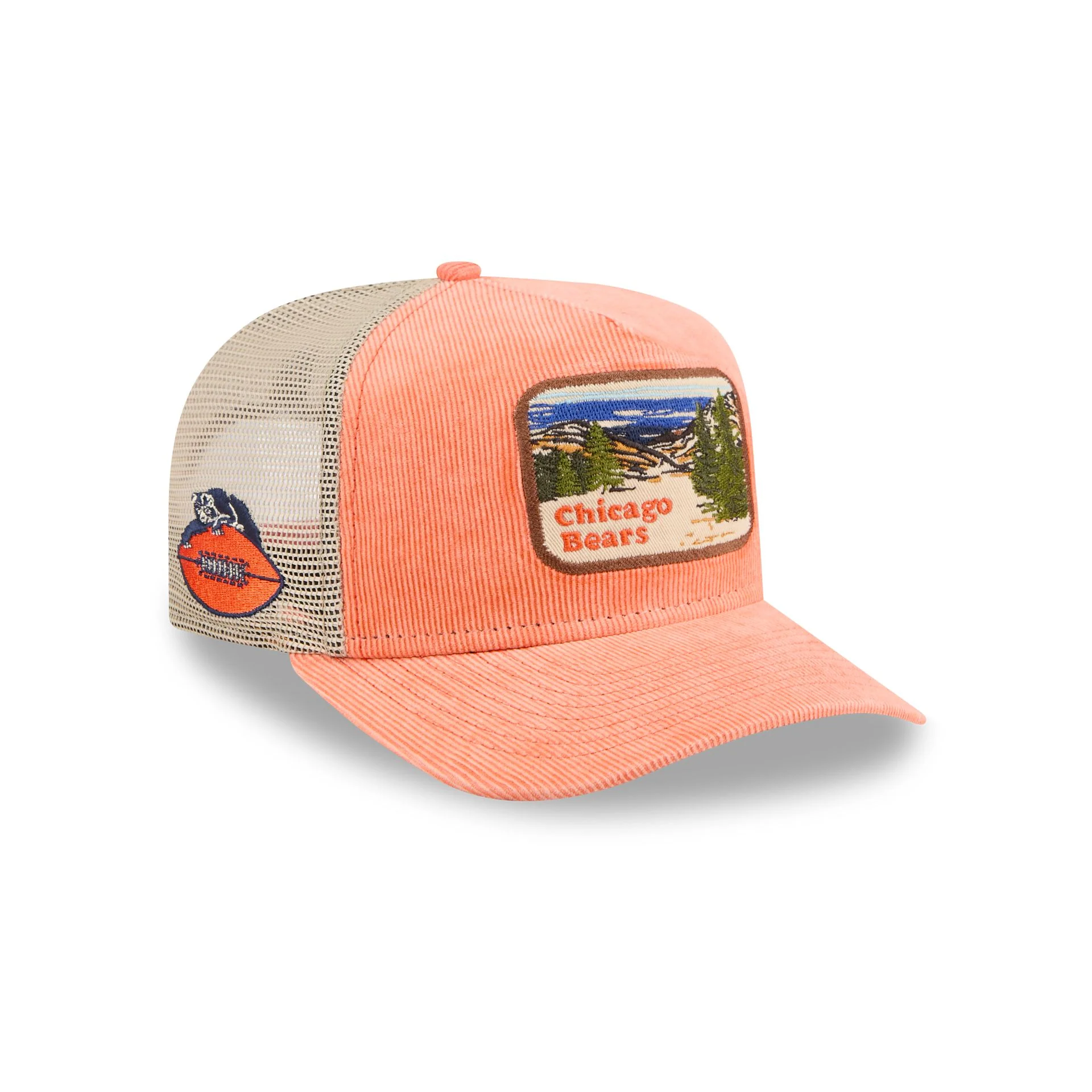 Chicago Bears Vintage Landscape 9FIFTY A-Frame Trucker Hat