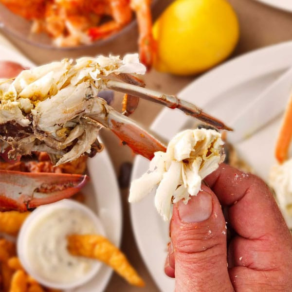 Colossal Jumbo Male Maryland Crabs