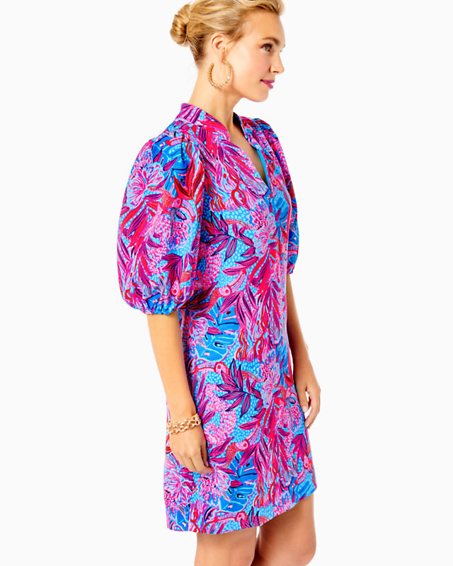 Arcella Dress | Lilly Pulitzer Outlet - LillypulitzerOutlets