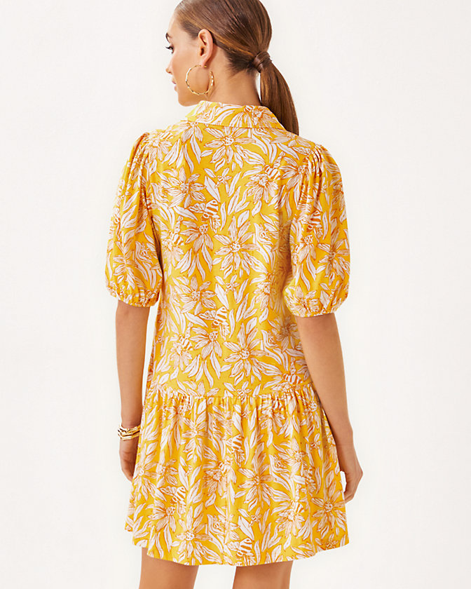 Bingley Dress - LLBeanoutlets