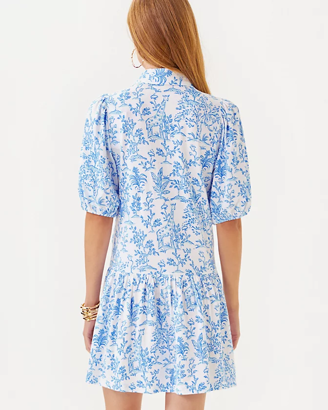 Bingley Dress - LLBeanoutlets