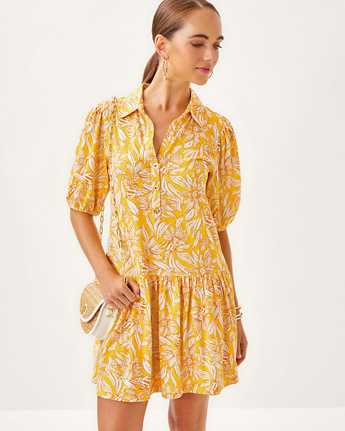 Bingley Dress - LLBeanoutlets