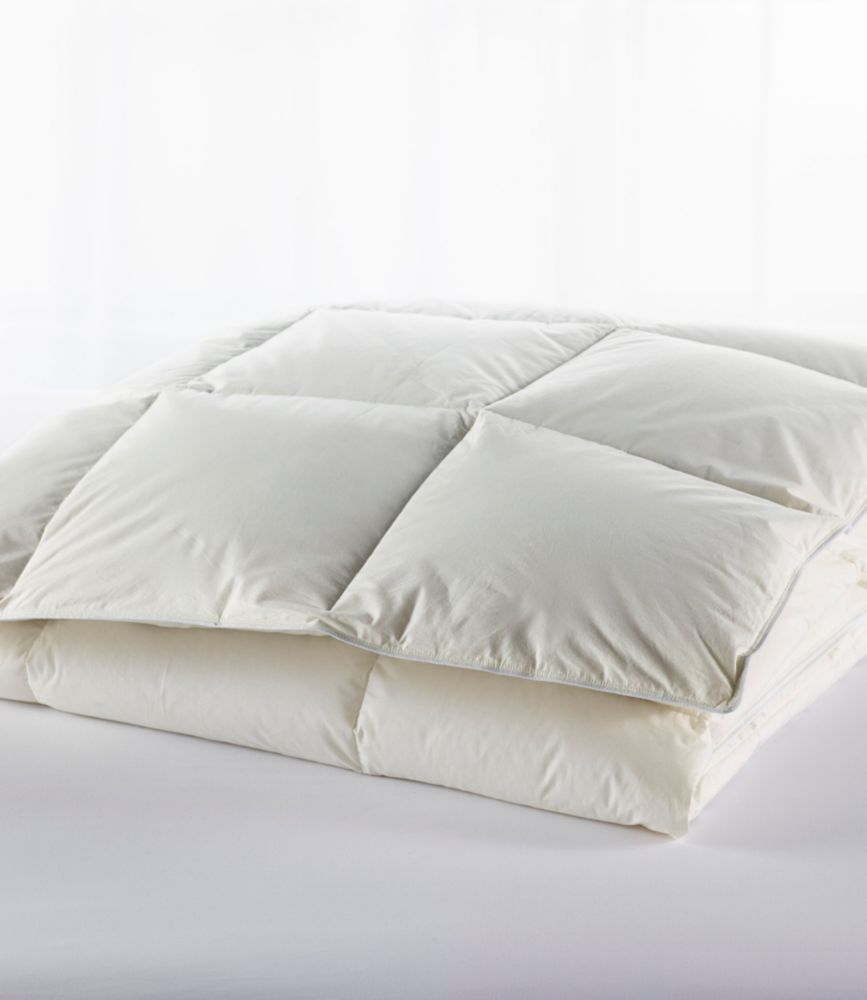 Box-Stitch Goose Down Comforter, Warm - LLBeanoutlets