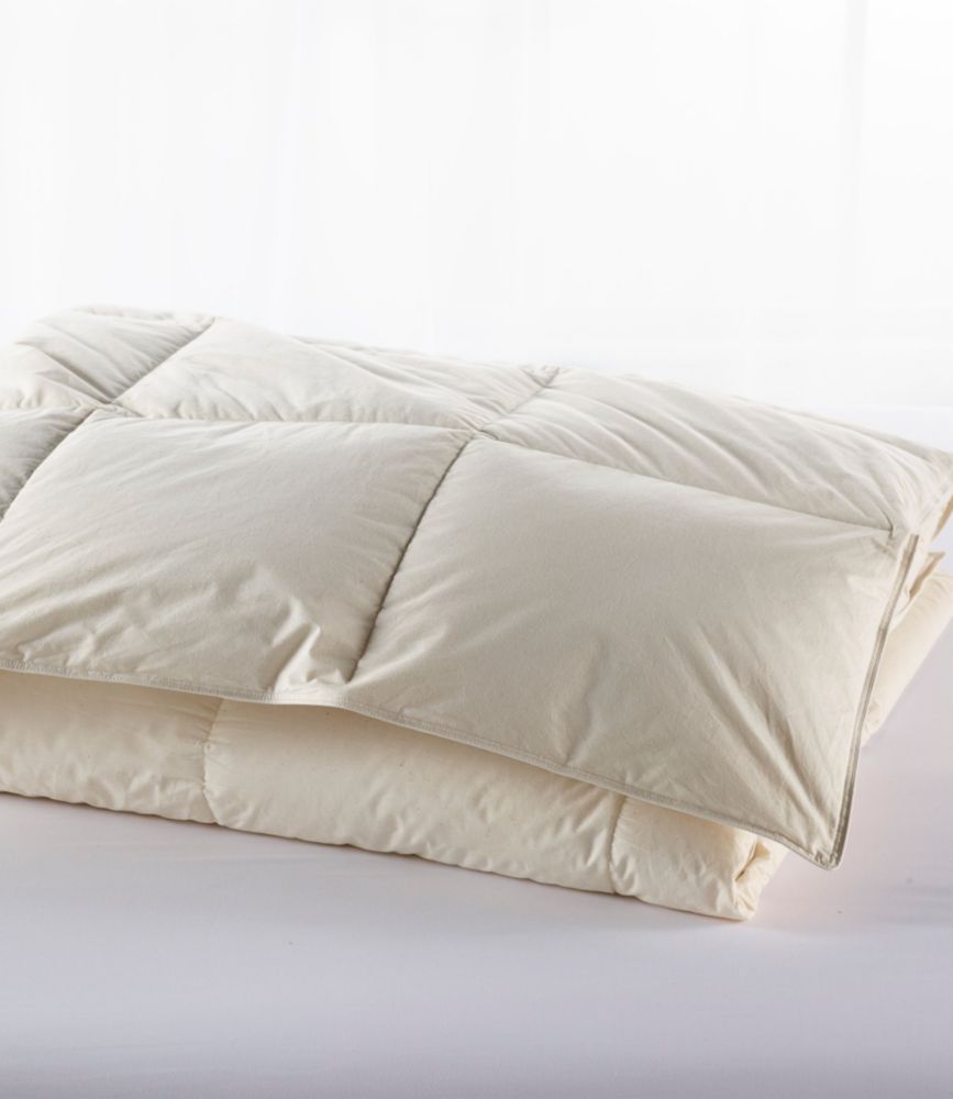 Cotton Down Comforter - LLBeanoutlets