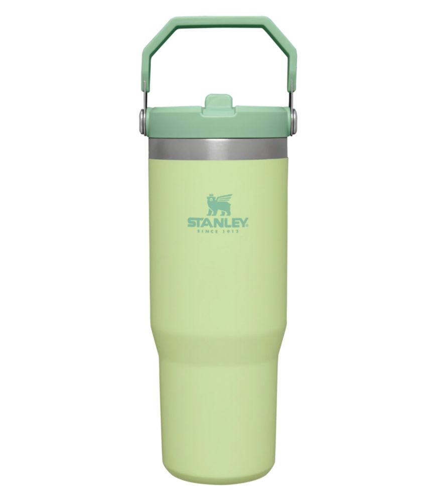 Stanley IceFlow Flip Straw Tumbler, 30 oz. - LLBeanoutlets