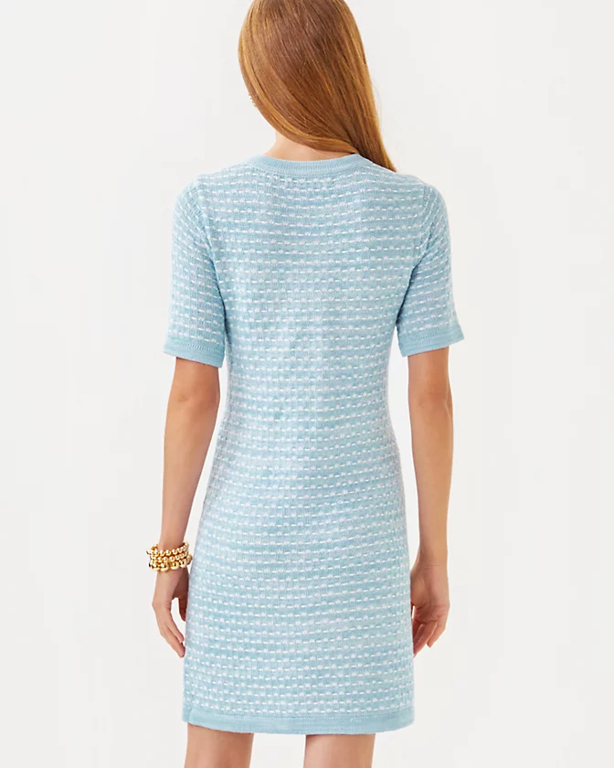 Theodorah Sweater Dress - LLBeanoutlets