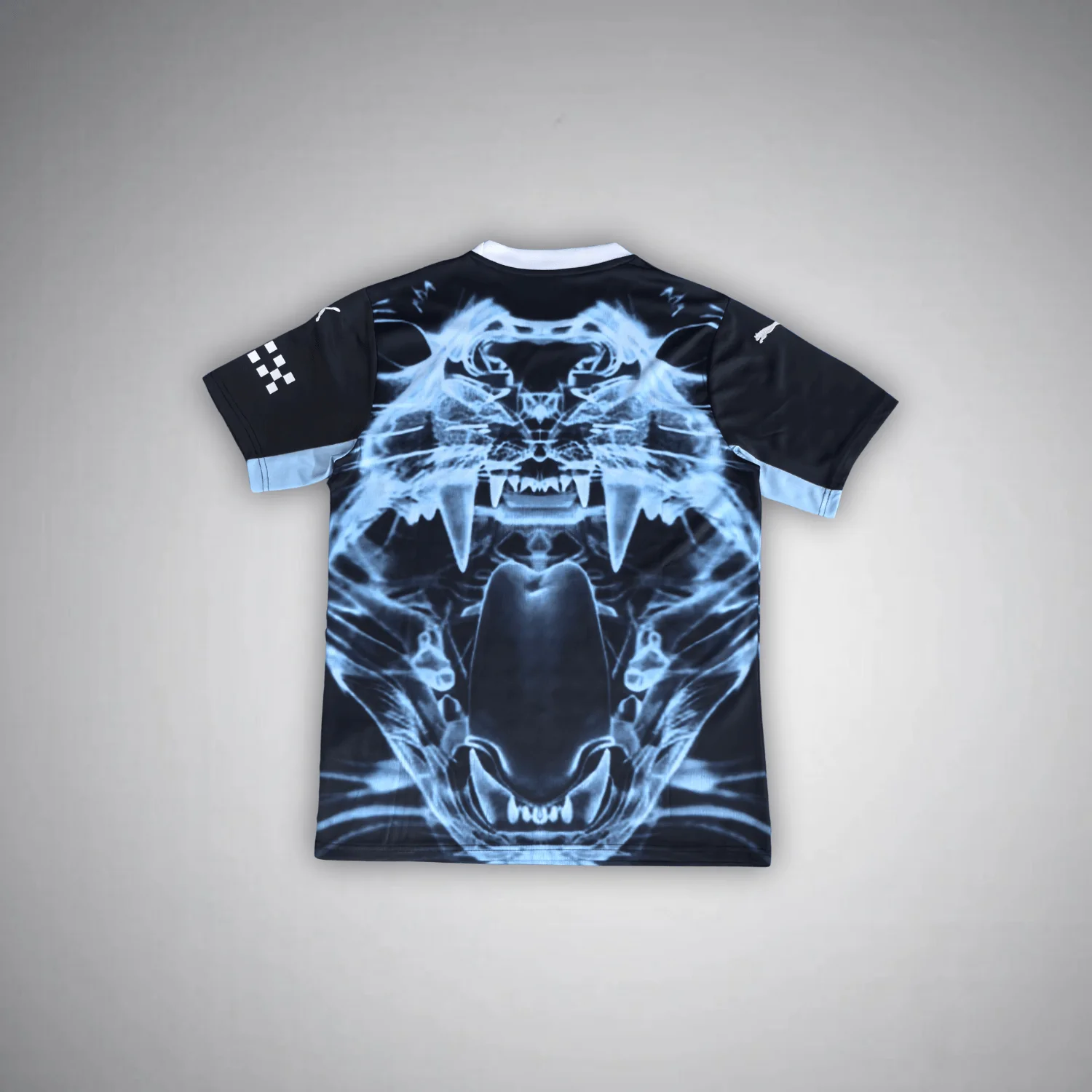 Manchester City Predator X Premium Kit