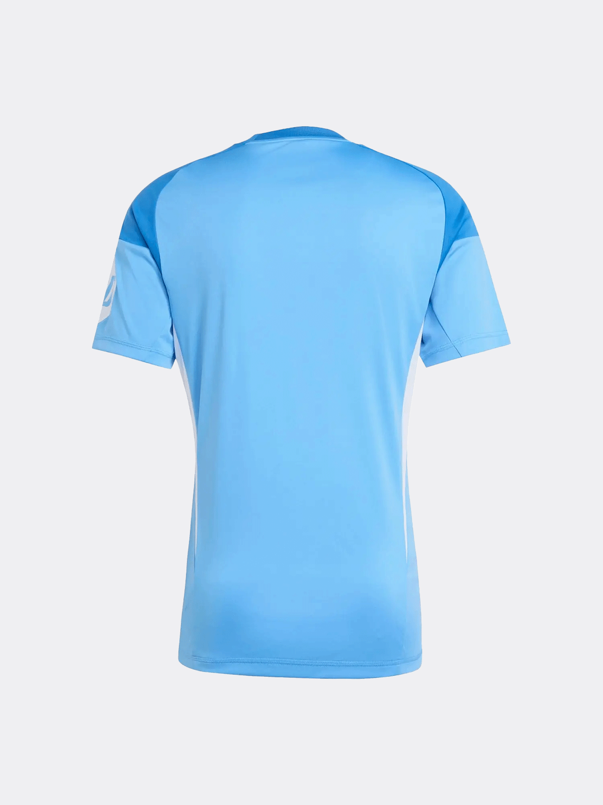 Real Madrid Mens Goalkeeper Jersey 25/26 Blue