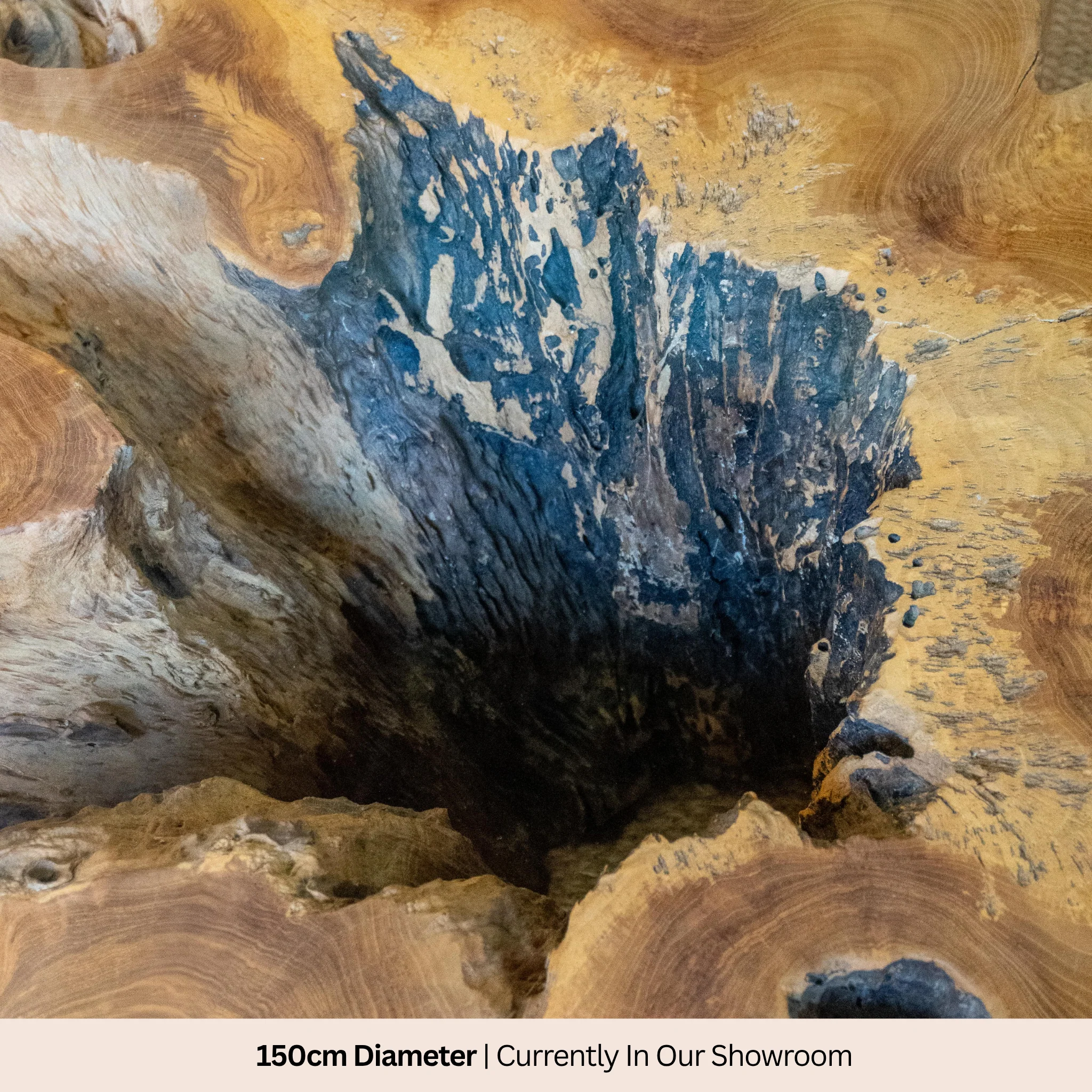 Asri Tree Trunk Coffee Table