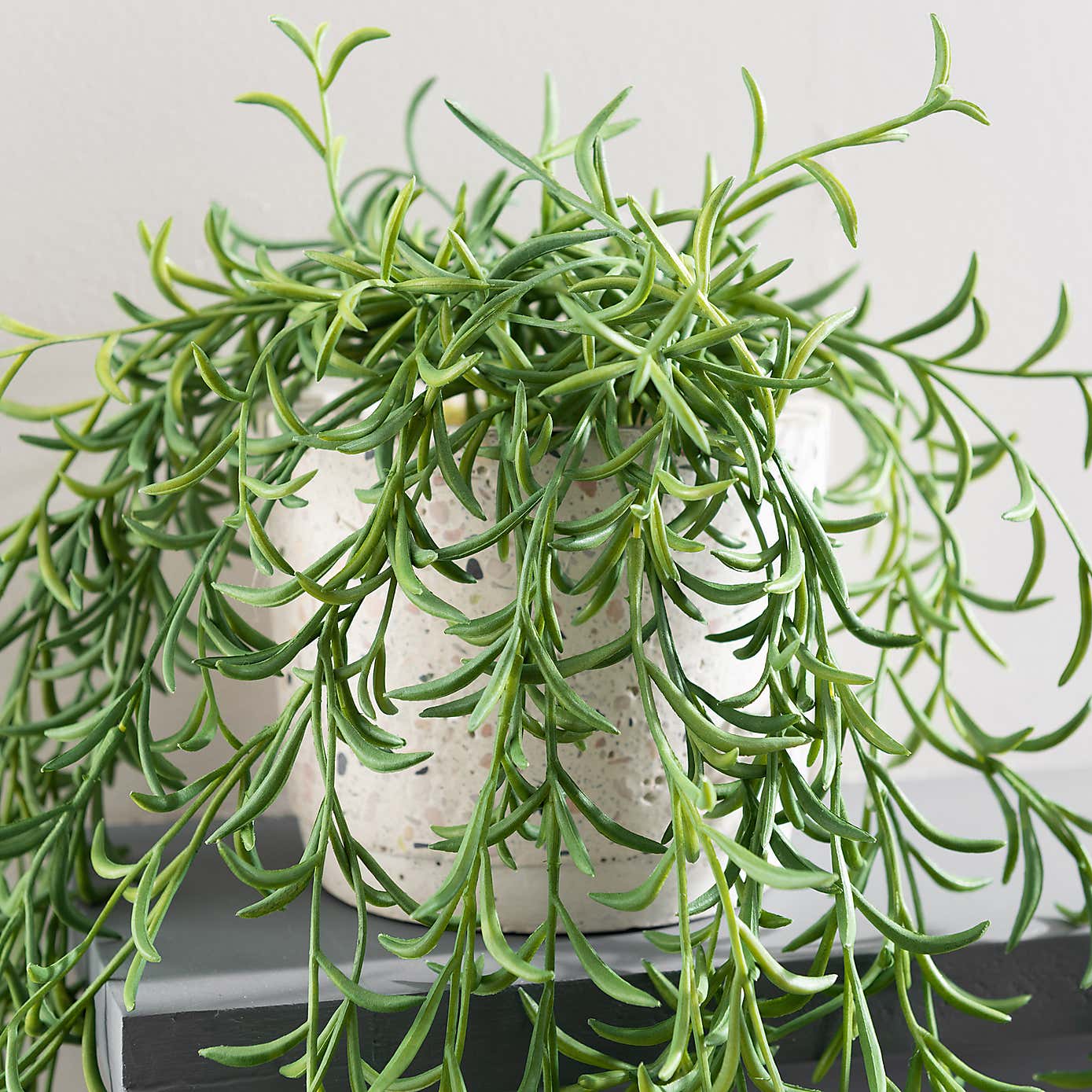 Artificial Trailing Plant in White Plant Pot