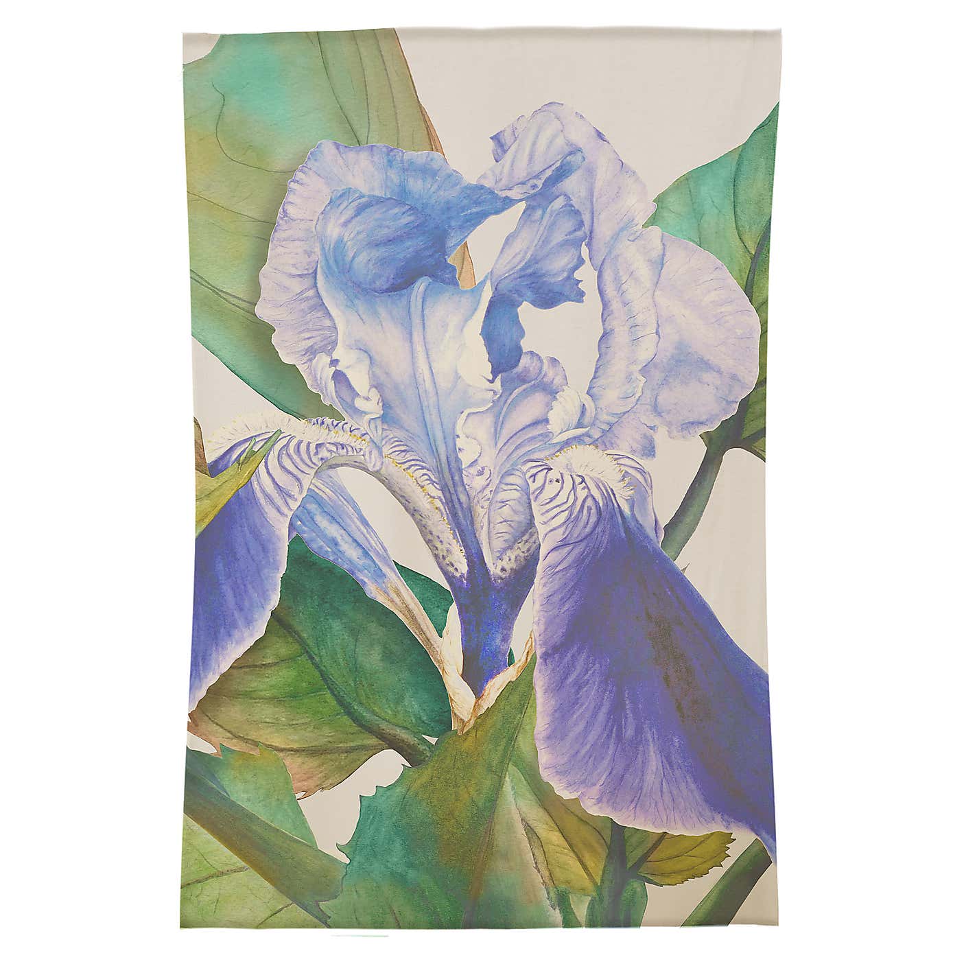 Voyage Maison Darwen Cornflower Rug