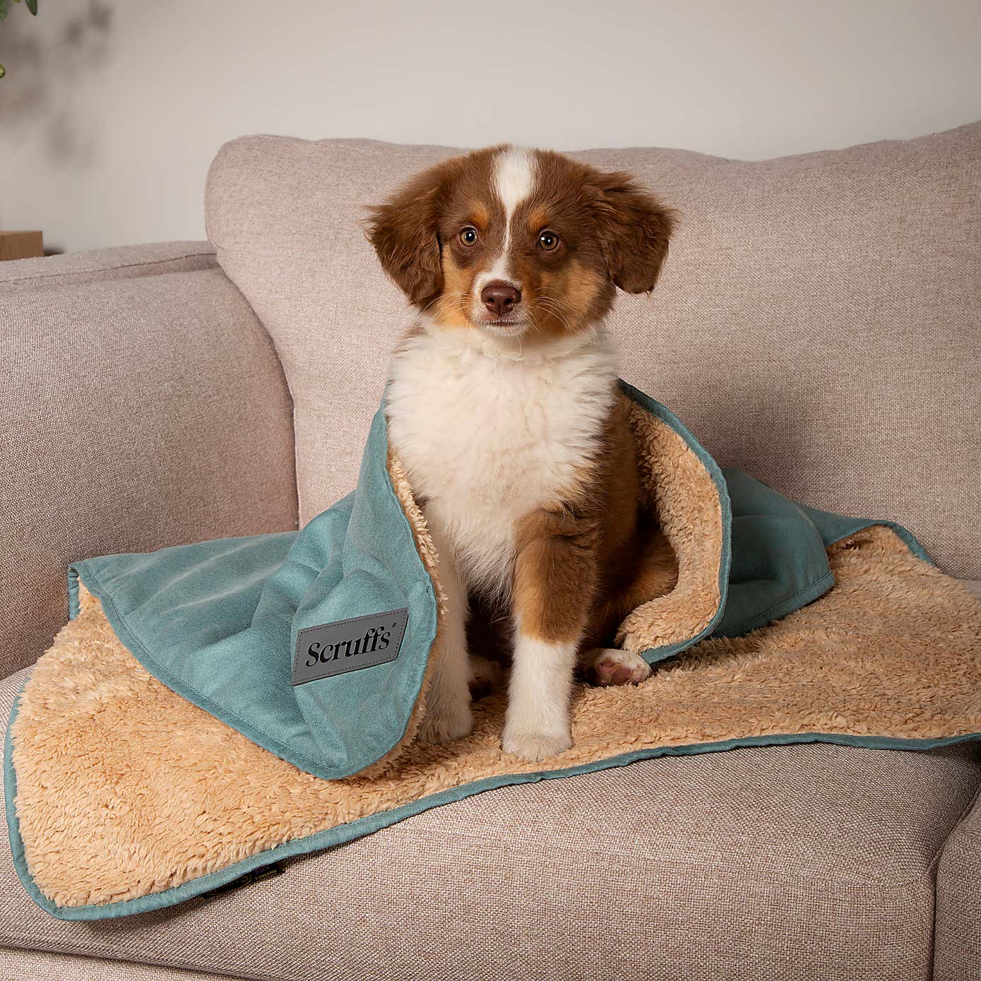 Scruffs Snuggle Blanket