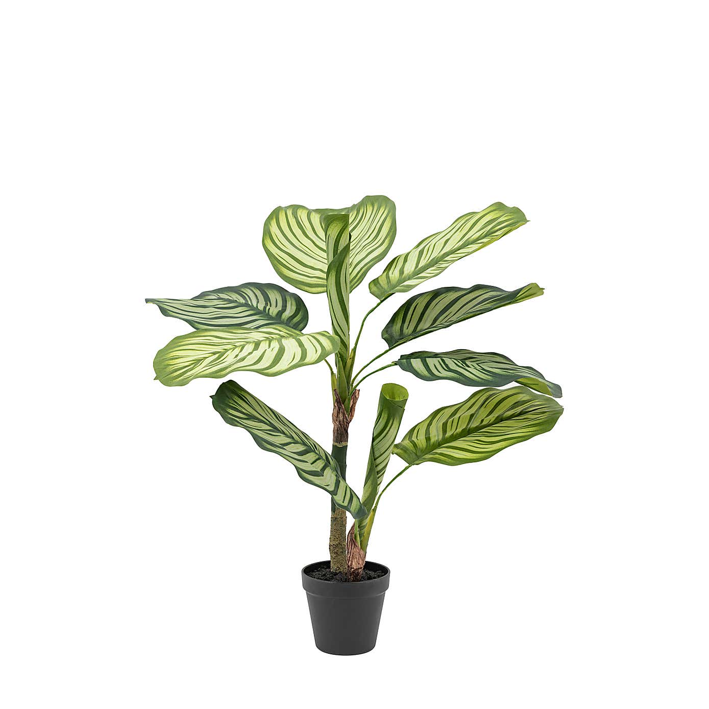 Artificial Small Calathea Leaf Tree in Black Plant Pot