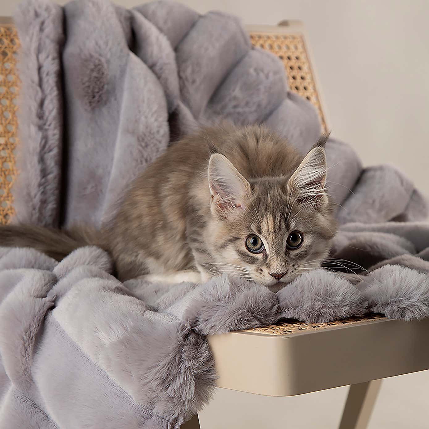 Scruffs Luxurious Aspen Pet Blanket