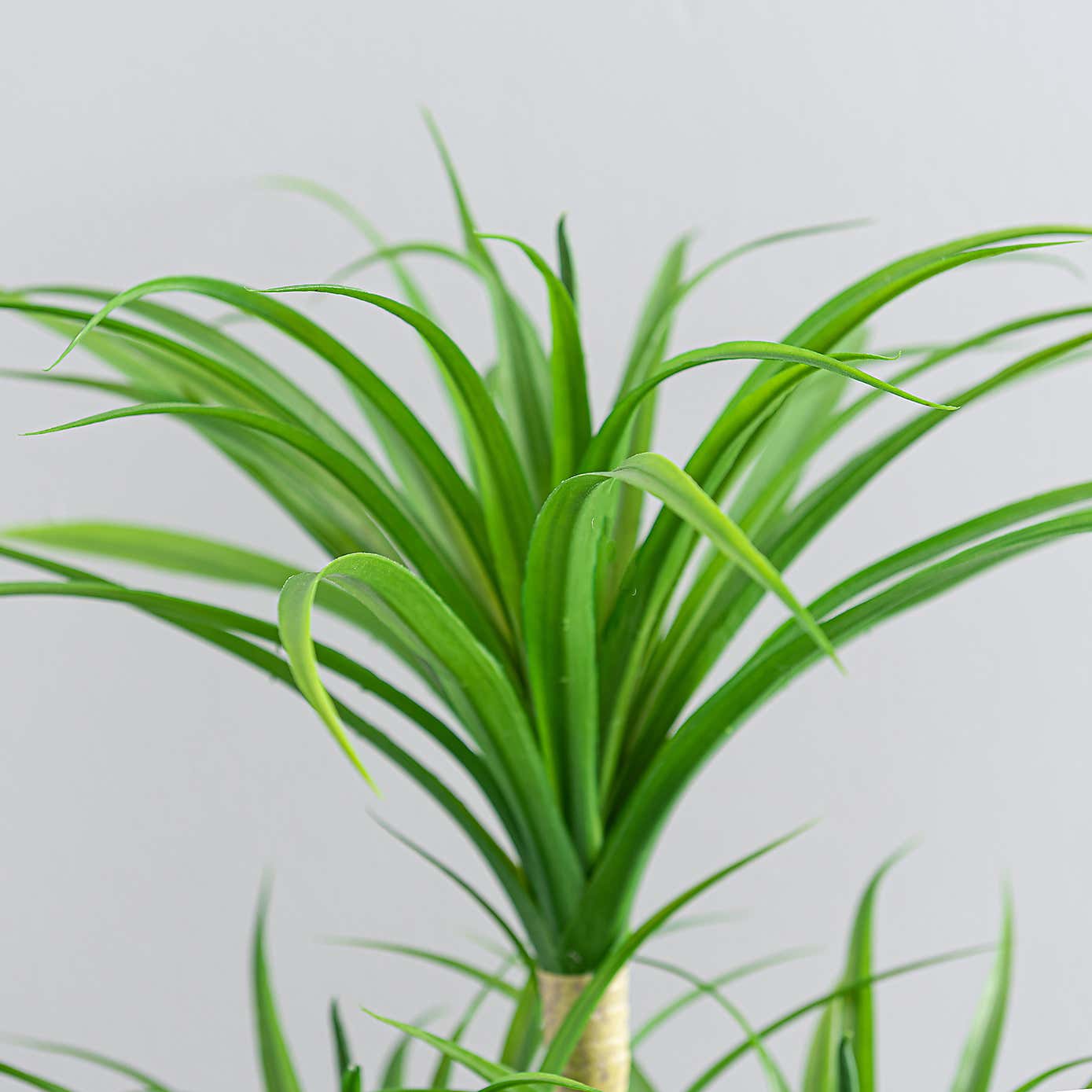 Artificial Yucca Plant in White Ceramic Plant Pot