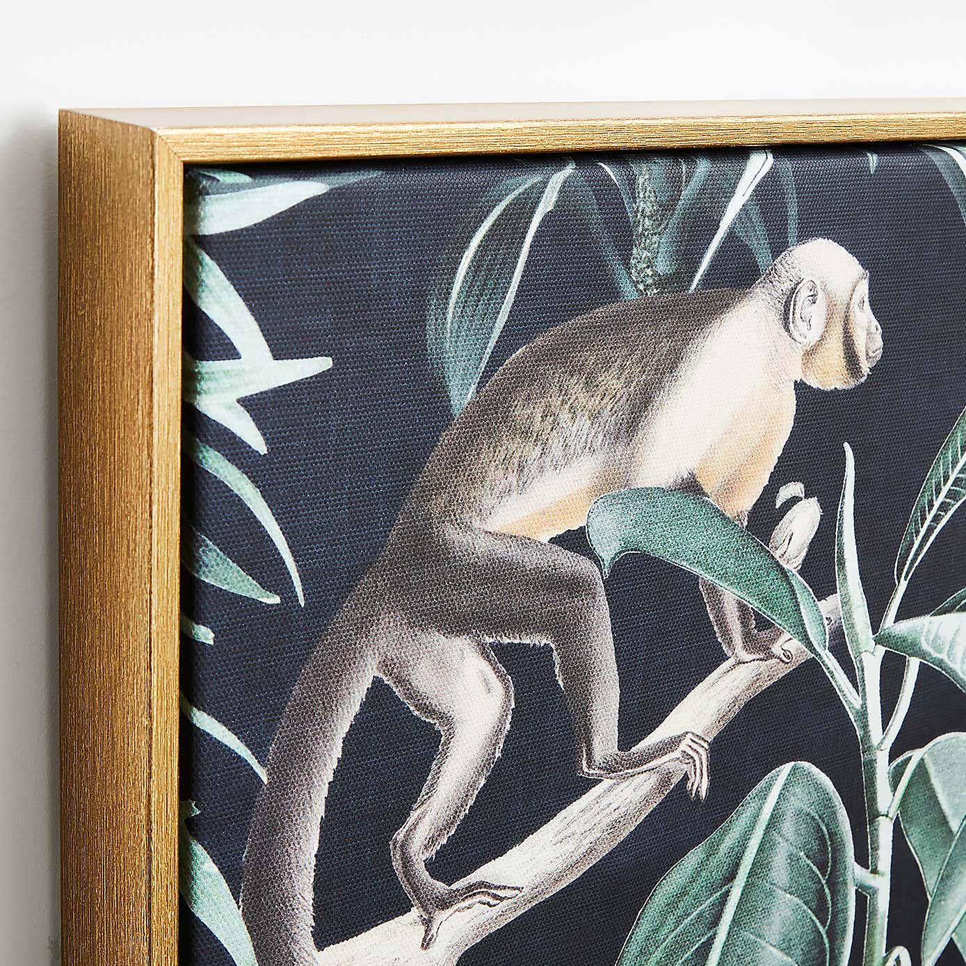 Set of 2 Monkey Framed Canvases