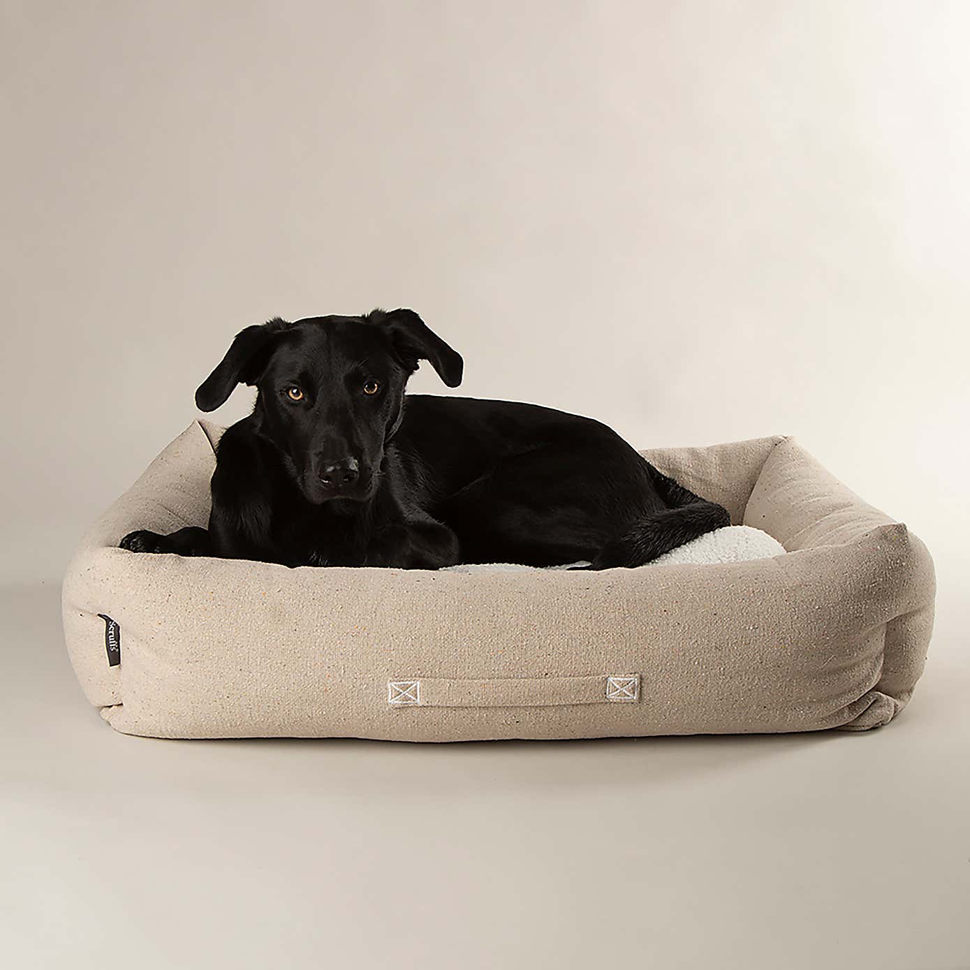 Scruffs 100% Recycled Eden Dog Box Bed