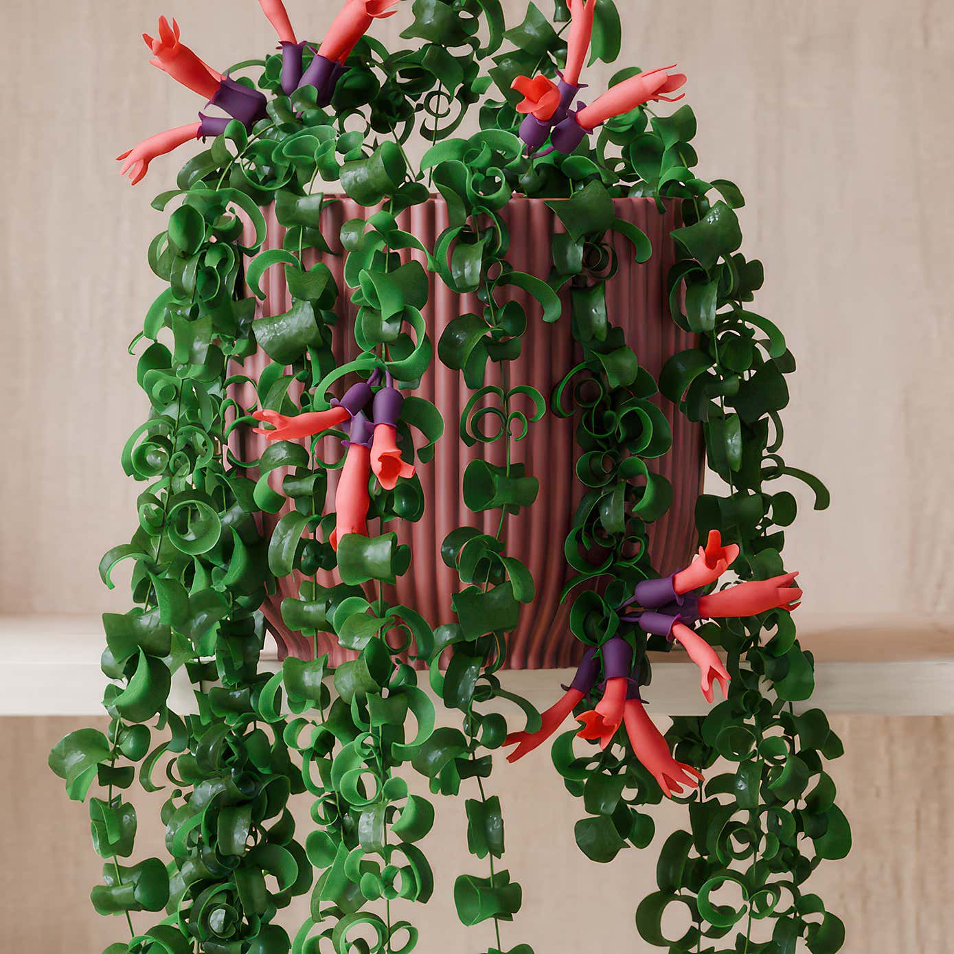 Beards & Daisies Trailing Aeschynanthus Rasta House Plant in Elho Pot