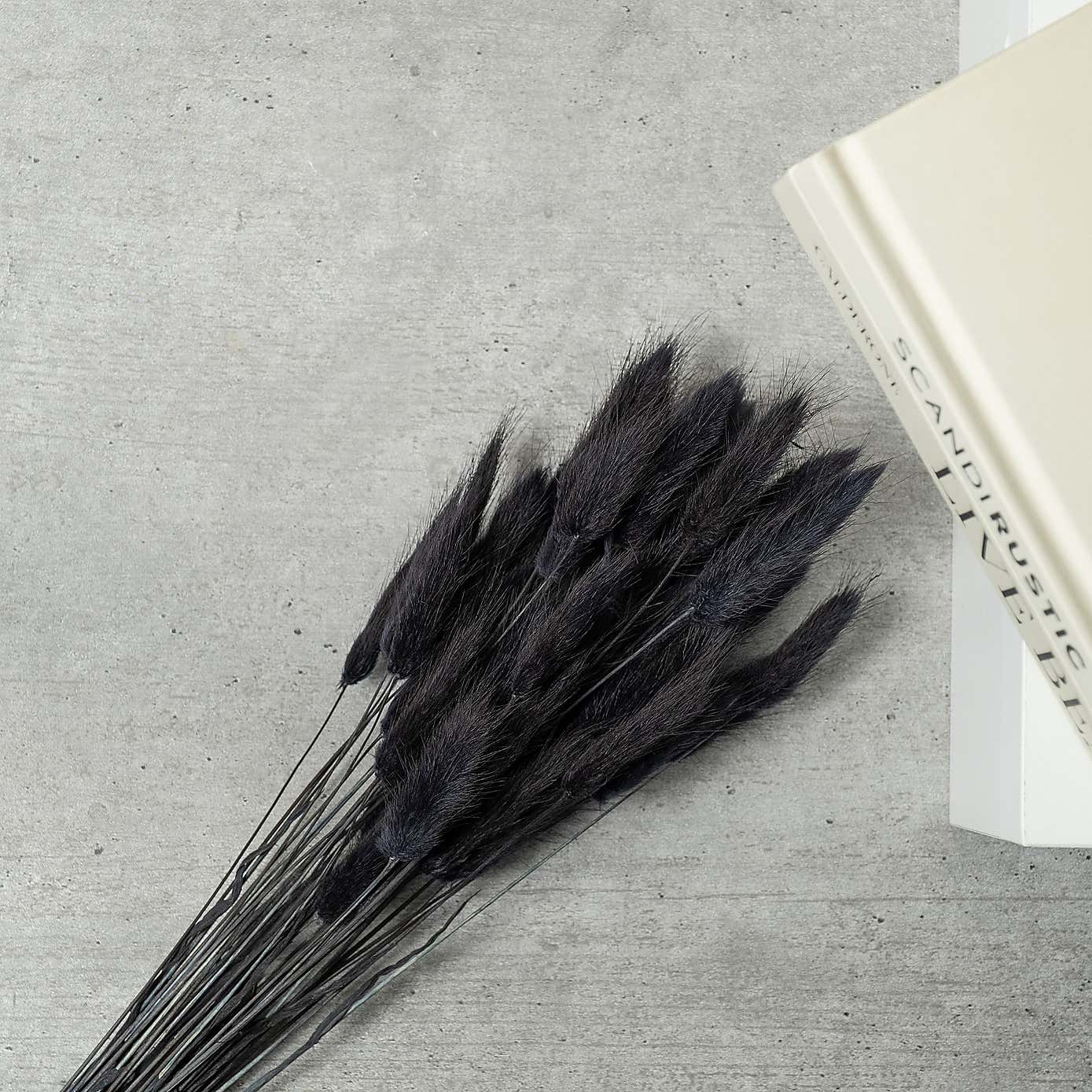 Dried Bunny Tails Bouquet