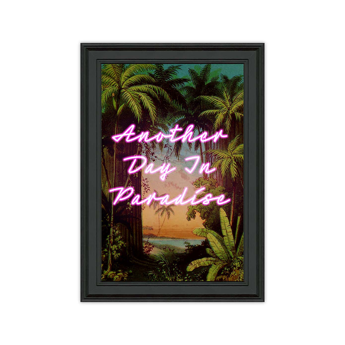 Another Day in Paradise Framed Print