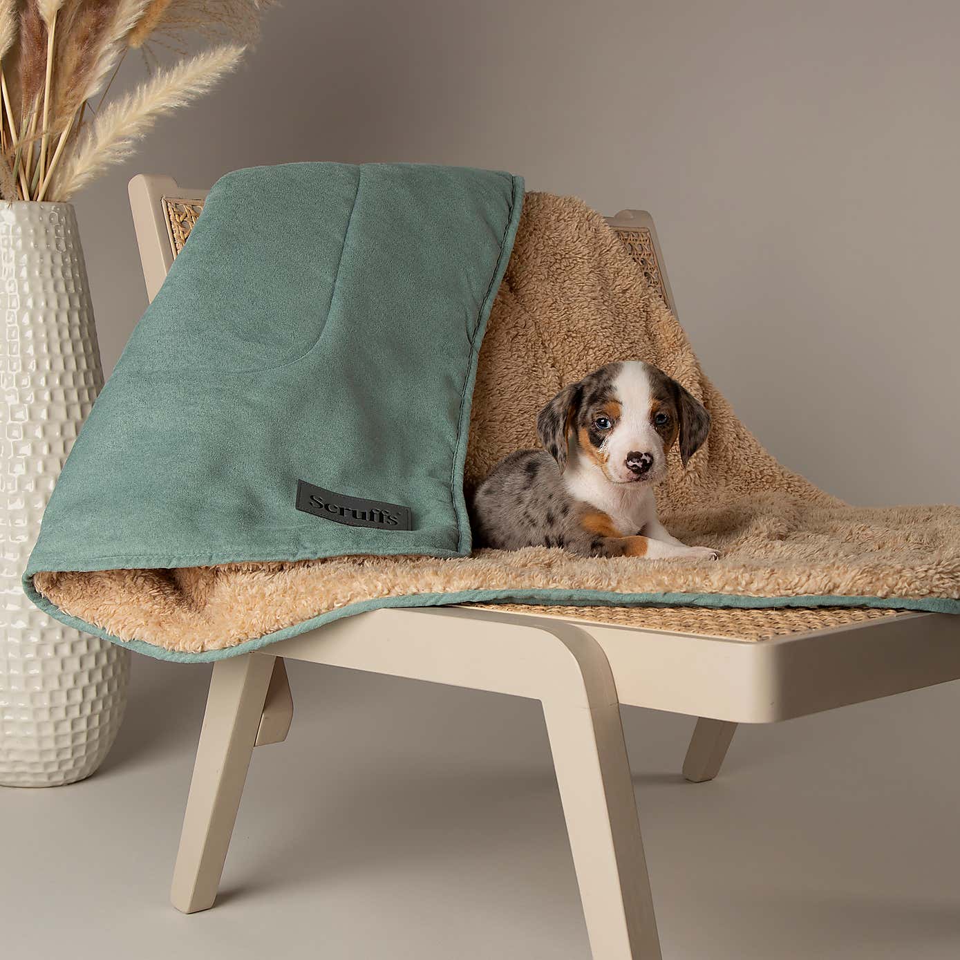 Scruffs Snuggle Blanket