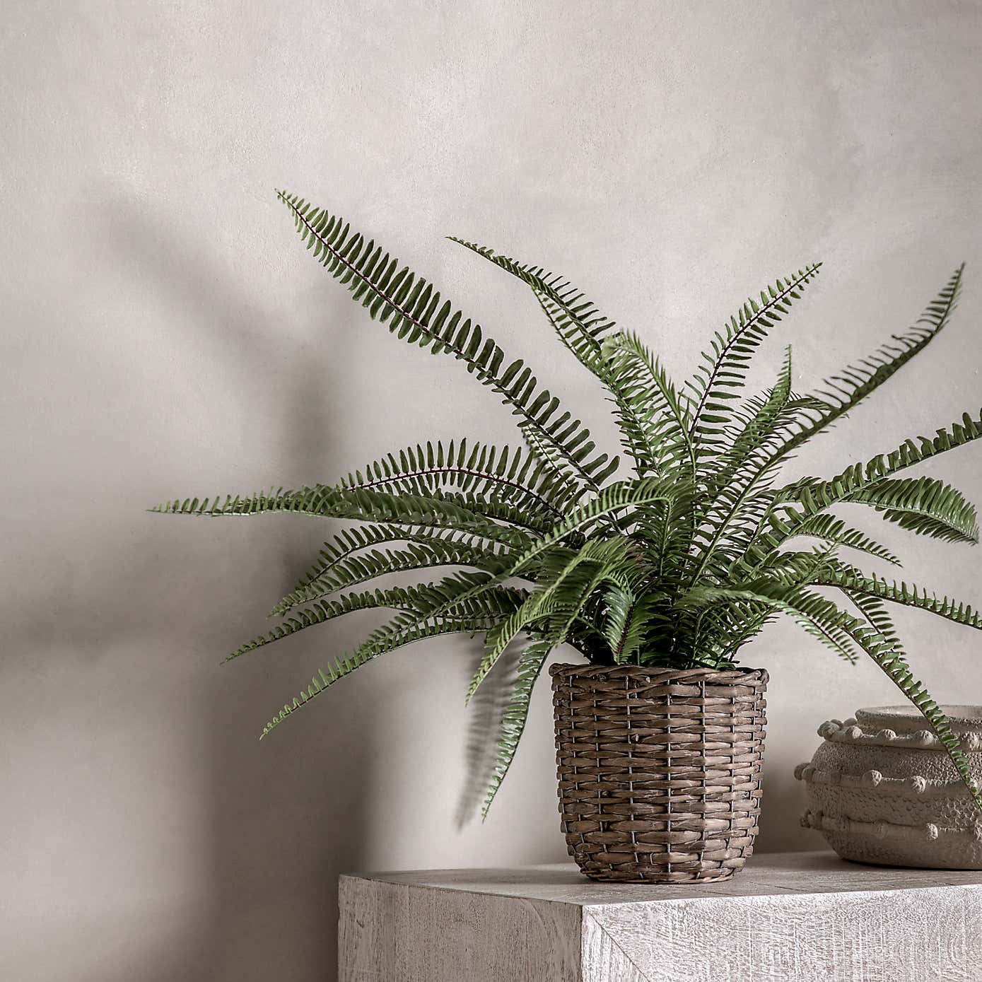 Artificial Fern in Wicker Pot