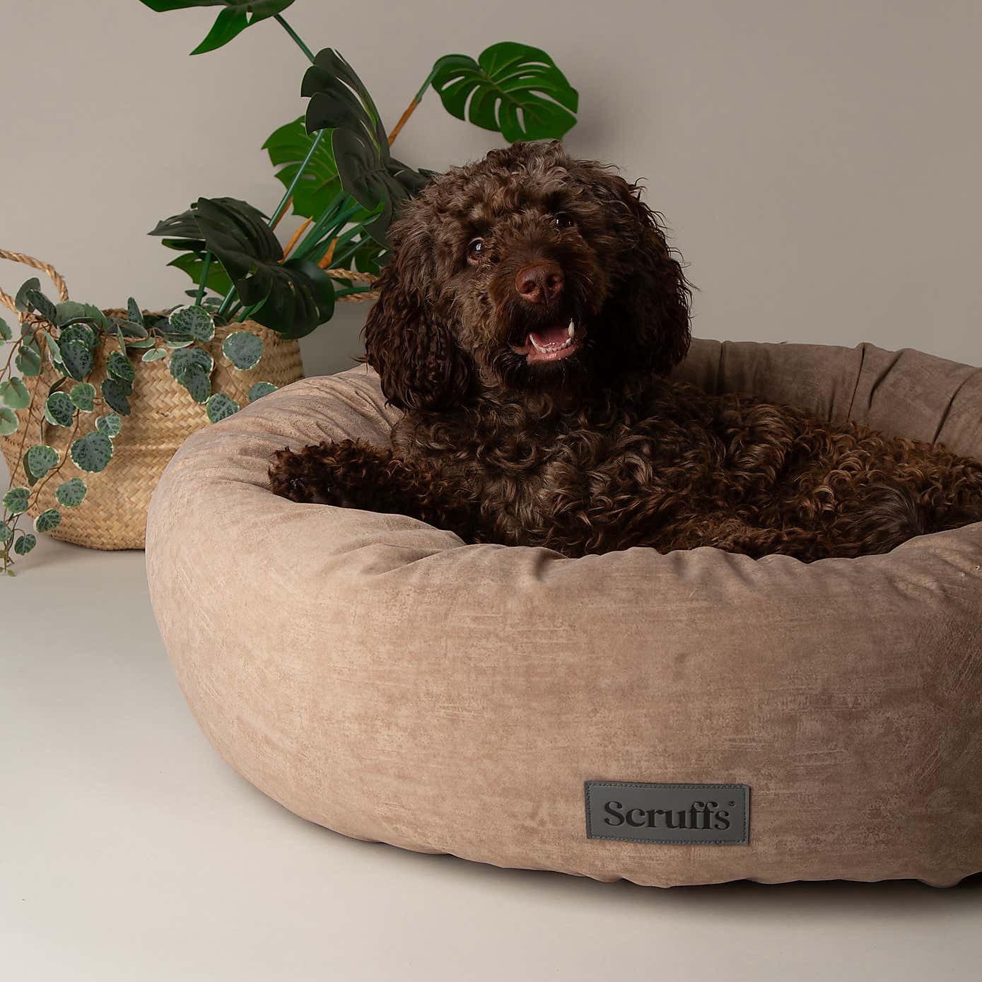 Scruff Oslo Donut Dog Bed