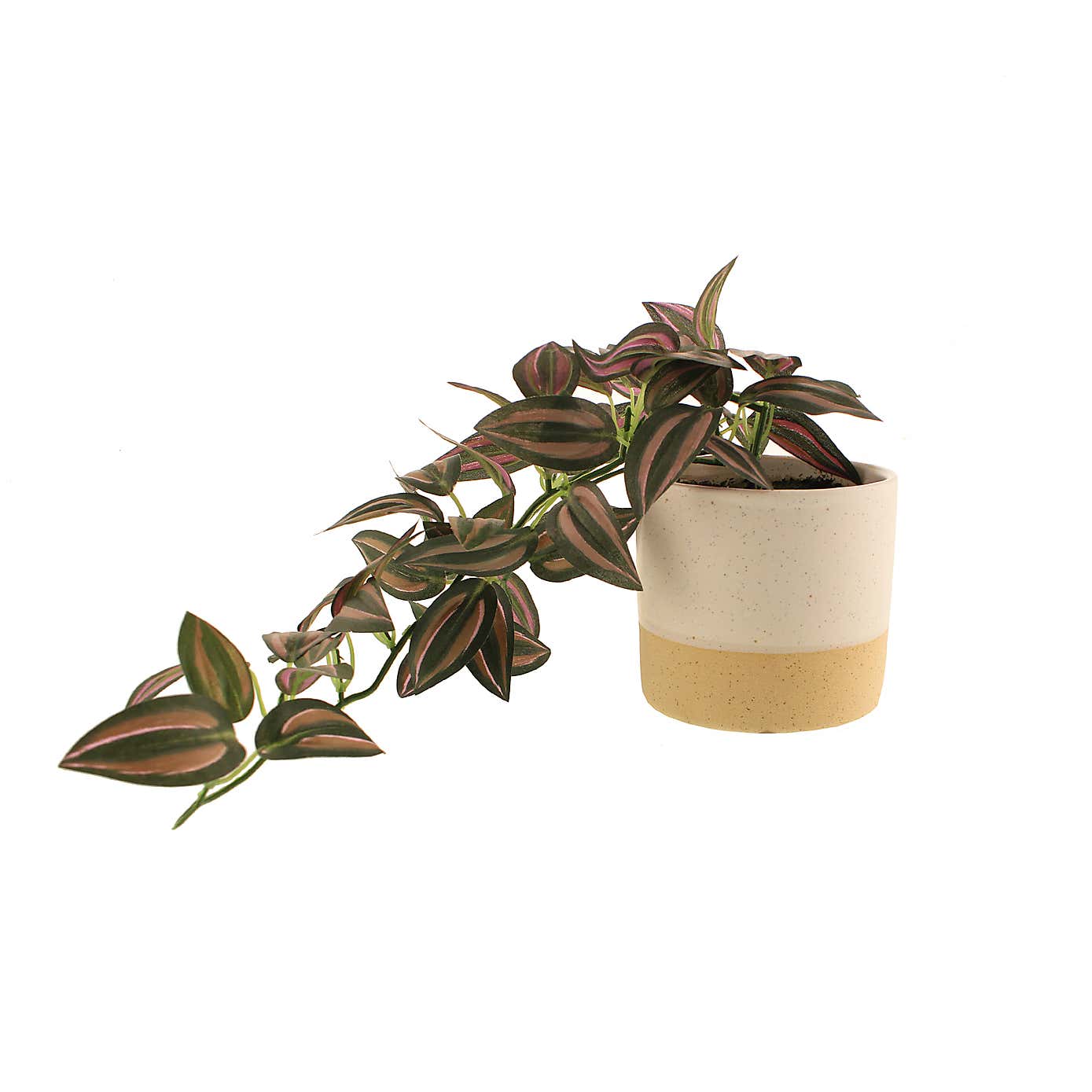 Artificial Trailing Tradescantia in White Ceramic Plant Pot
