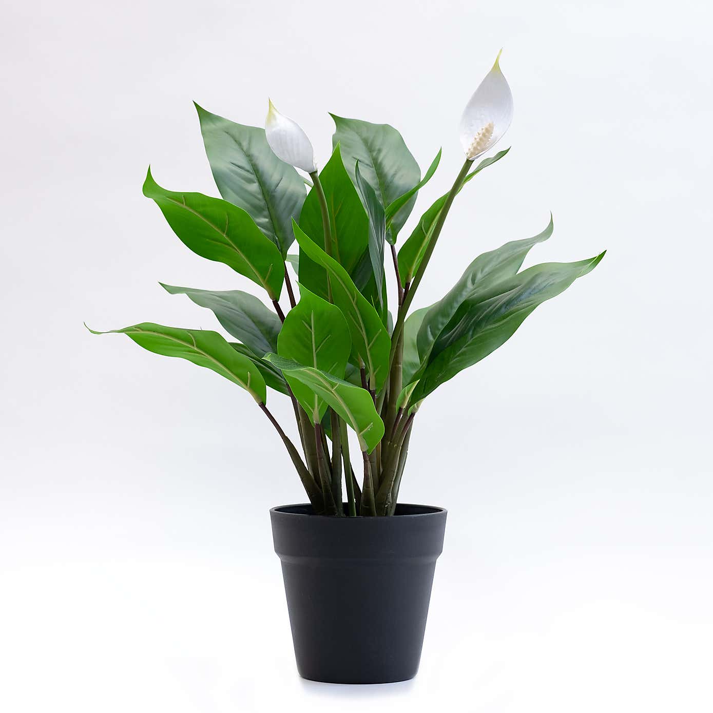Artificial Peace Lily Plant in Black Plant Pot