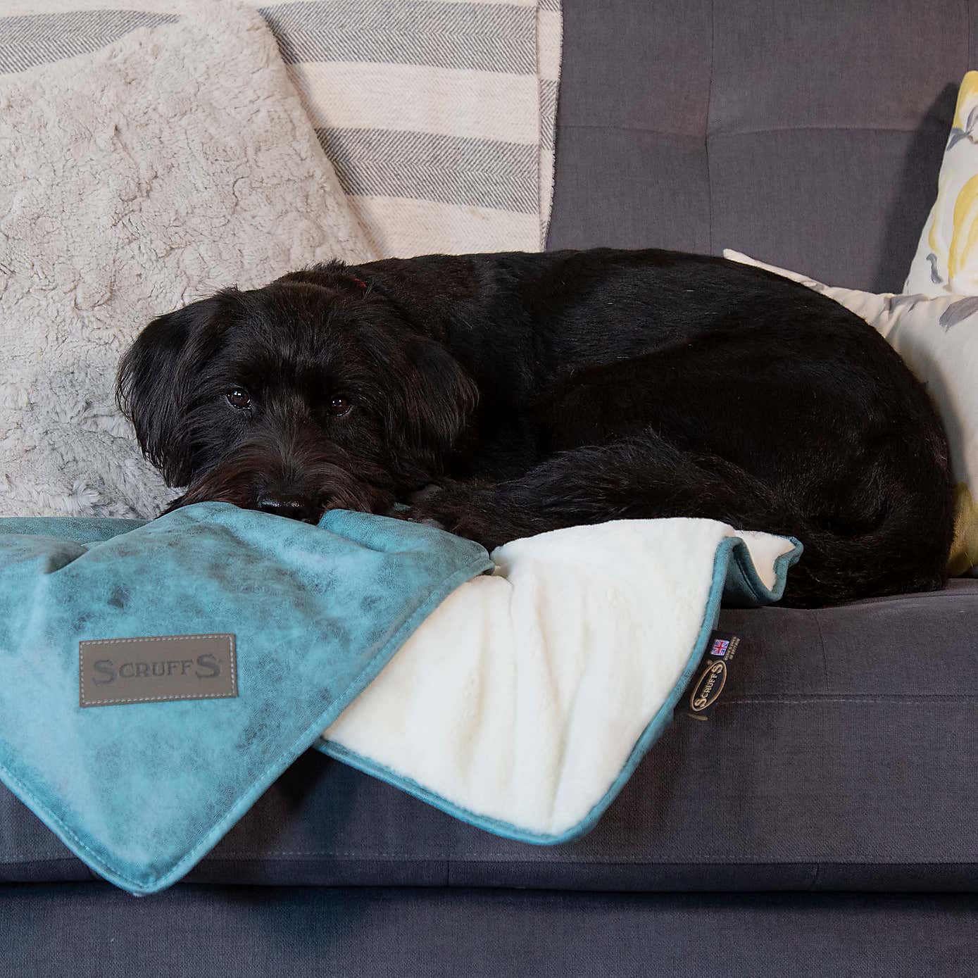Scruffs Knightsbridge Dog Blanket