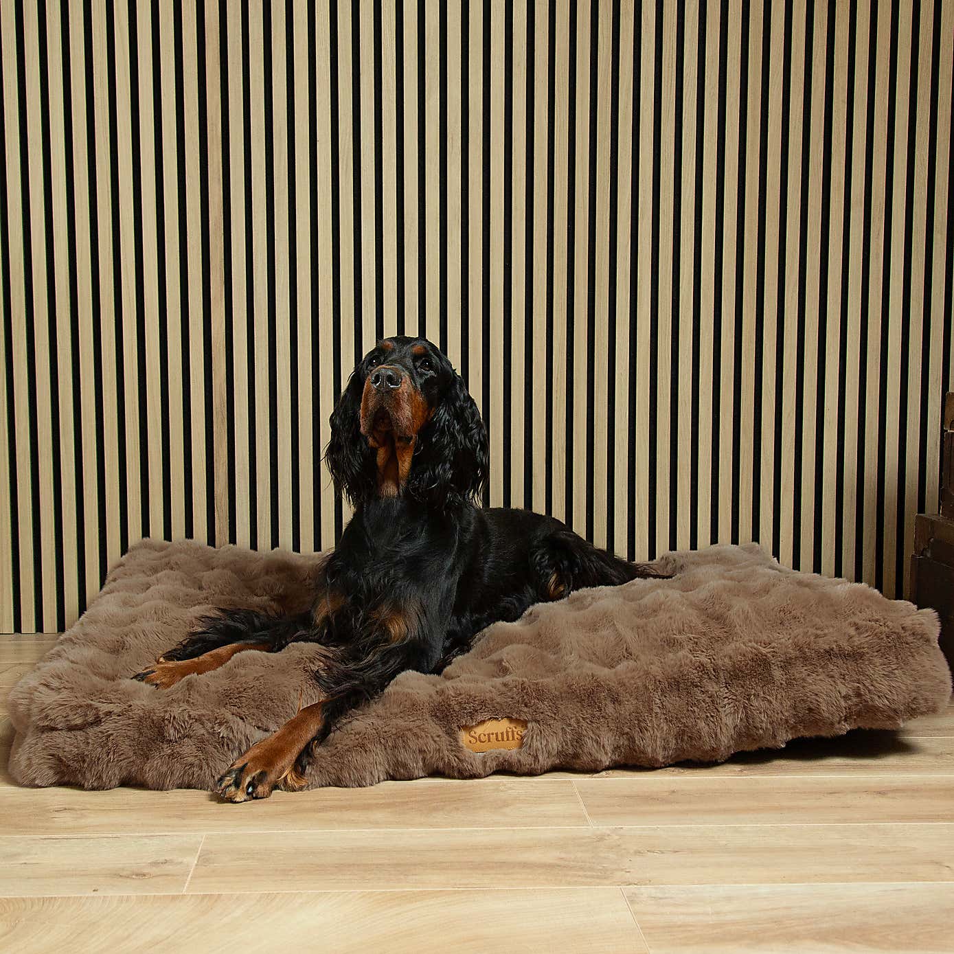 Scruffs Luxurious Alpine Dog Mattress