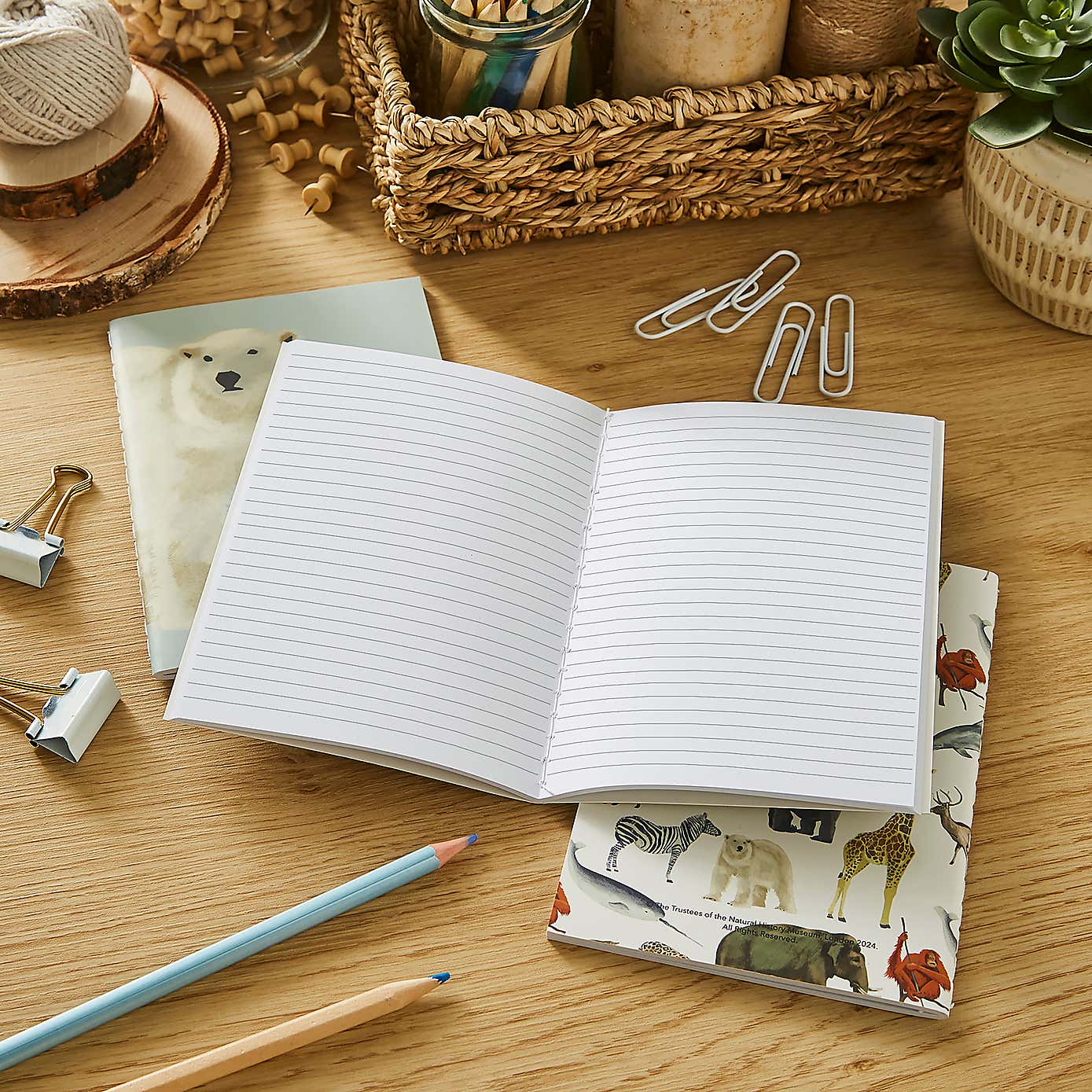 Set of 3 Mammals Softcover Notebooks