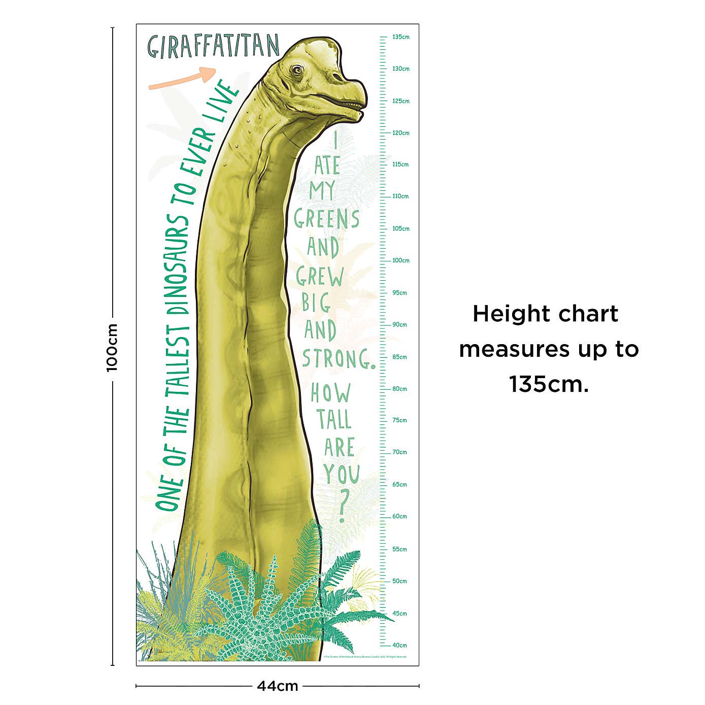 Giraffatitan Height Chart Sticker