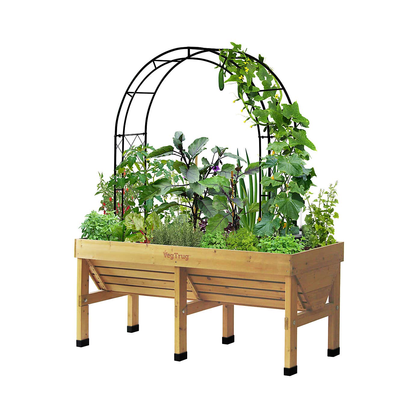 VegTrug Climbing Arch