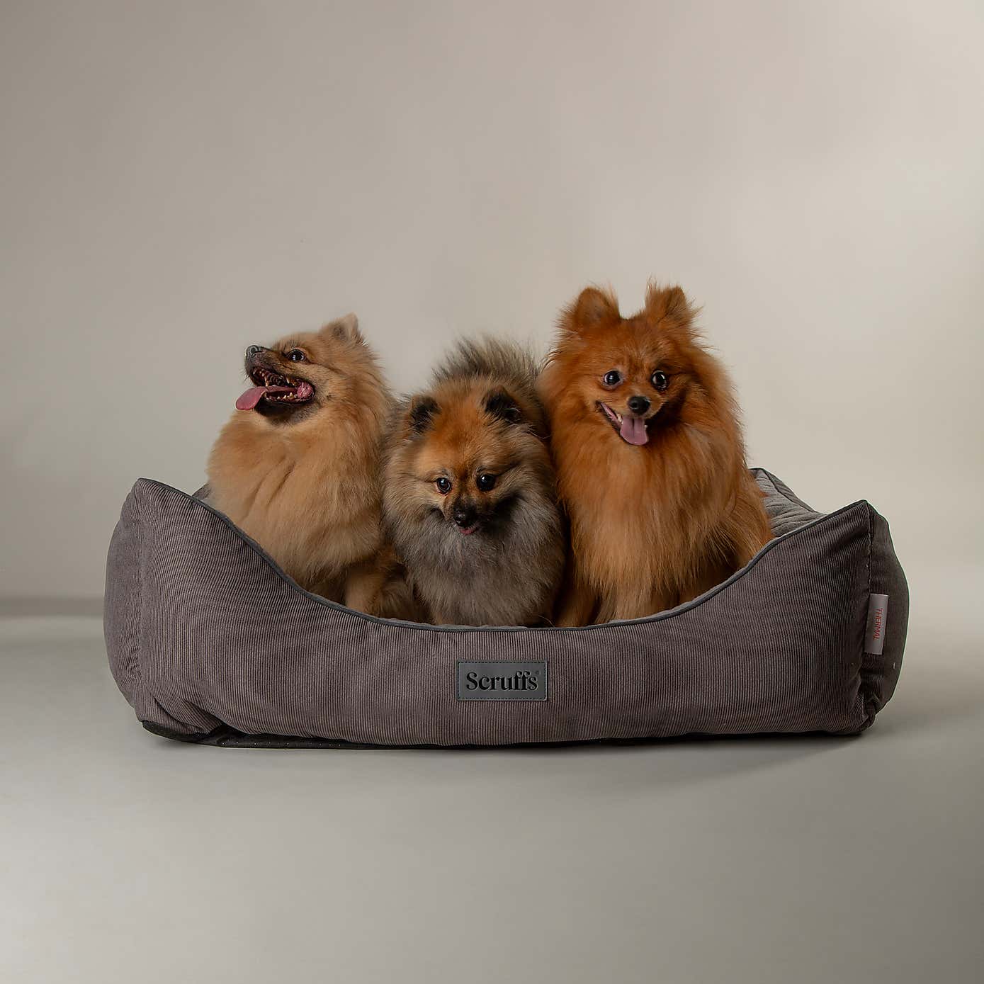 Scruffs Self Heating Thermal Dog Box Bed