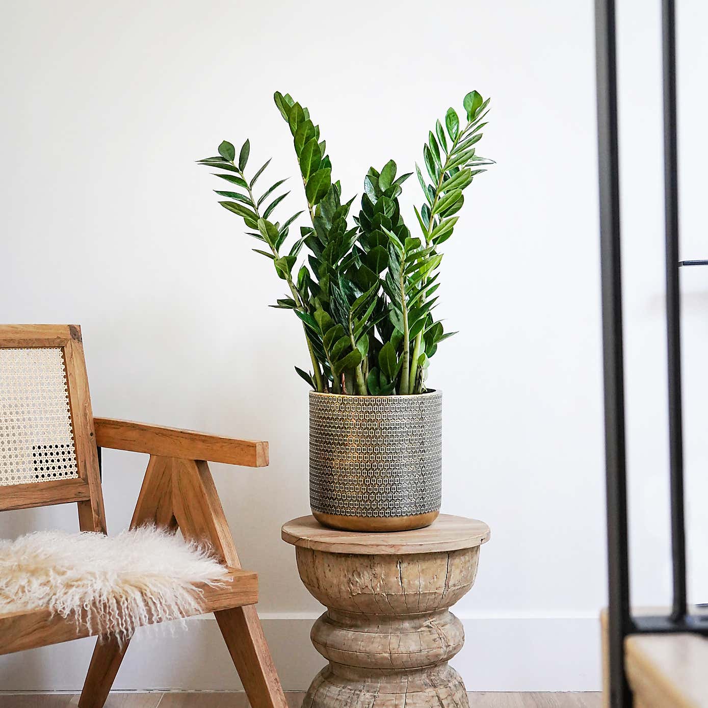 Solis Embossed Plant Pot