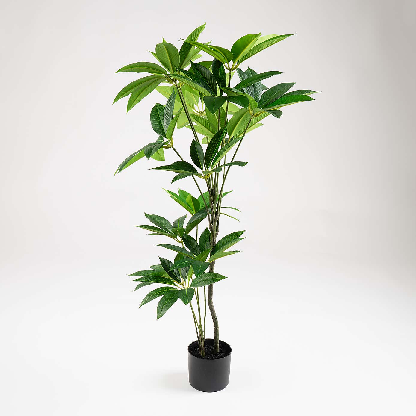 Artificial Umbrella Plant in Black Plant Pot